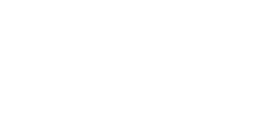 ECTO 100
